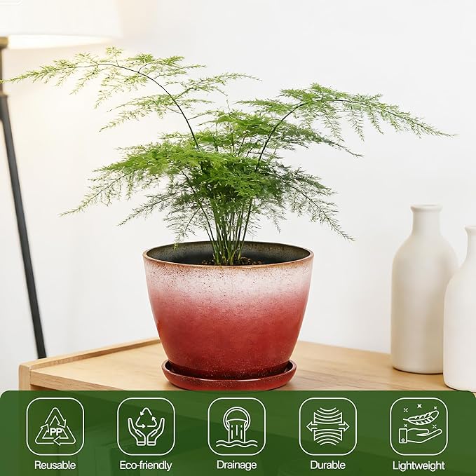 Worth Garden Plastic Round 8" Plant Pots - Set of 6 Multicolor Small Gloss Flower Pot Planters with Drainage Hole and Saucer - Home Decorative Christmas Containers