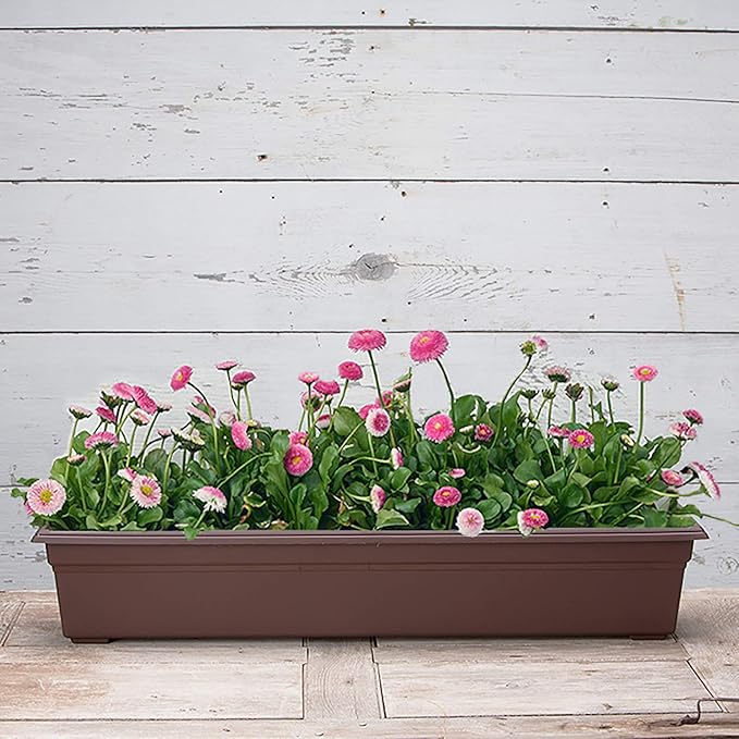 Root & Vessel 16363, Brown, Countryside Flower Box Planter, 36-Inch