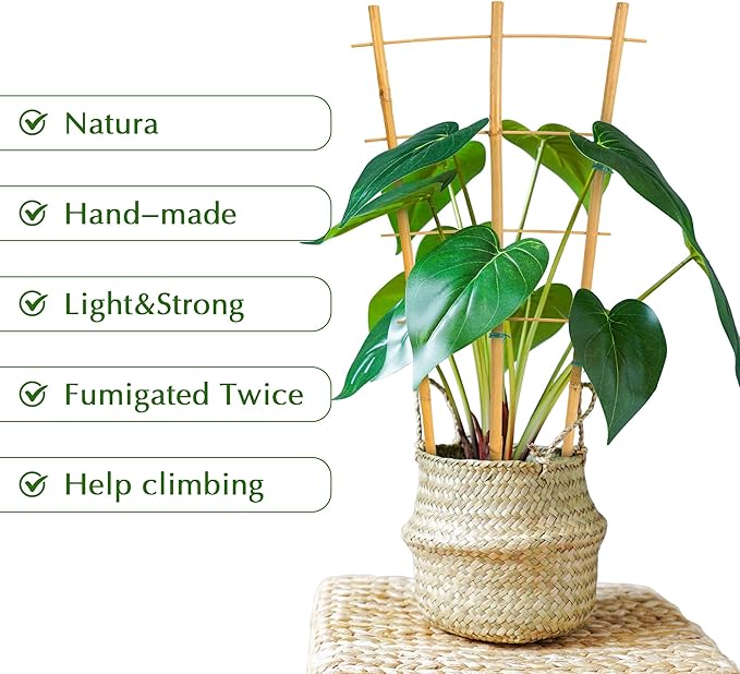 Bamboo Trellis, 24pack 16 Inch Small Plant Wood Bamboo Trellis for Climbing Plants Indoor Potted Plants