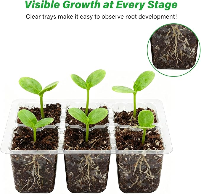 Bonviee 10 Packs Seed Starter Tray with Drainage Holes, Reusable & Durable, Clear for Root Monitoring, Easy to Repotted Without Root Damage, 6 Cells per Tray