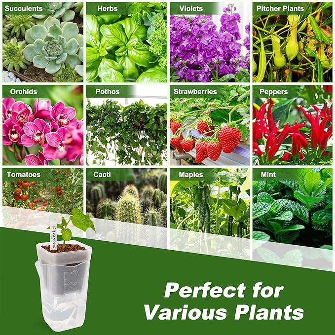 12 Pack Self Watering Pots Set for Indoor Plants, 2.5" Small Clear Self Watering Planters with Watering Holes Plastic Flower Pot with 12 Labels, 12 Ropes