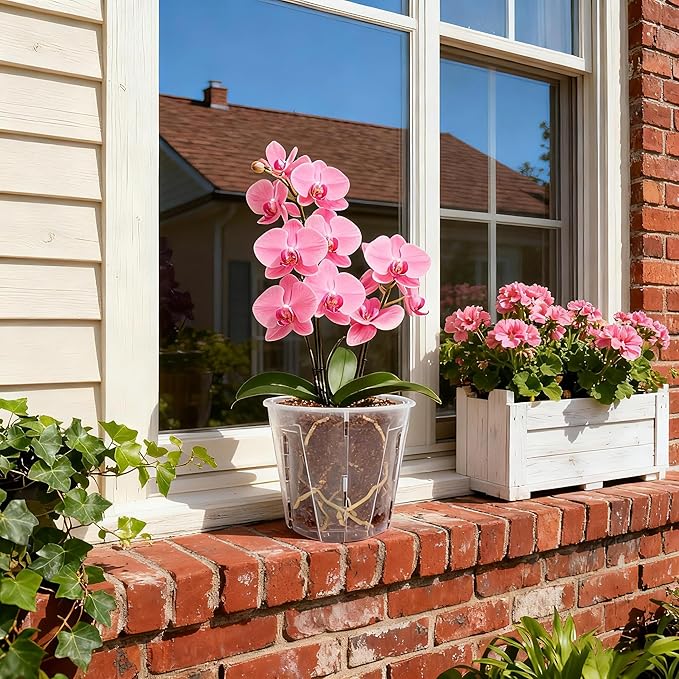 5 Inch Side-Open Orchid Pots 6 Pack, Clear Plastic Nursery Planters with Detachable Side Walls for Easy Repotting, Breathable Slotted Flower Pots with Drainage for Root Health