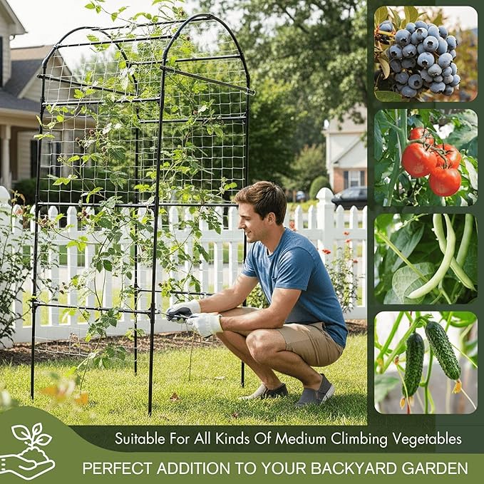 79" Garden Trellis Arch for Climbing Plants – Tall Outdoor Metal Trellis for Vegetables, Peas, Tomatoes,﻿ Cucumber Trellis Arch & Vertical Garden Climber Plant Support for Vine Plants