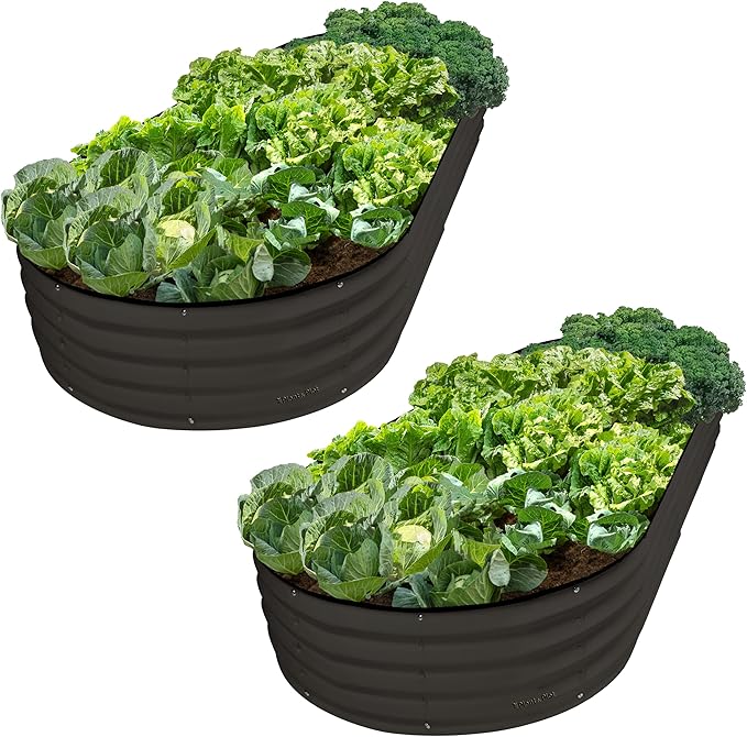 Plant & Plot Galvanized Raised Garden Beds Outdoor // 8×4×1 ft (2-Pack) Planter Raised Beds for Gardening, Vegetables, Flowers // Large Metal Garden Box // Patented Tool-Free Design (Black)