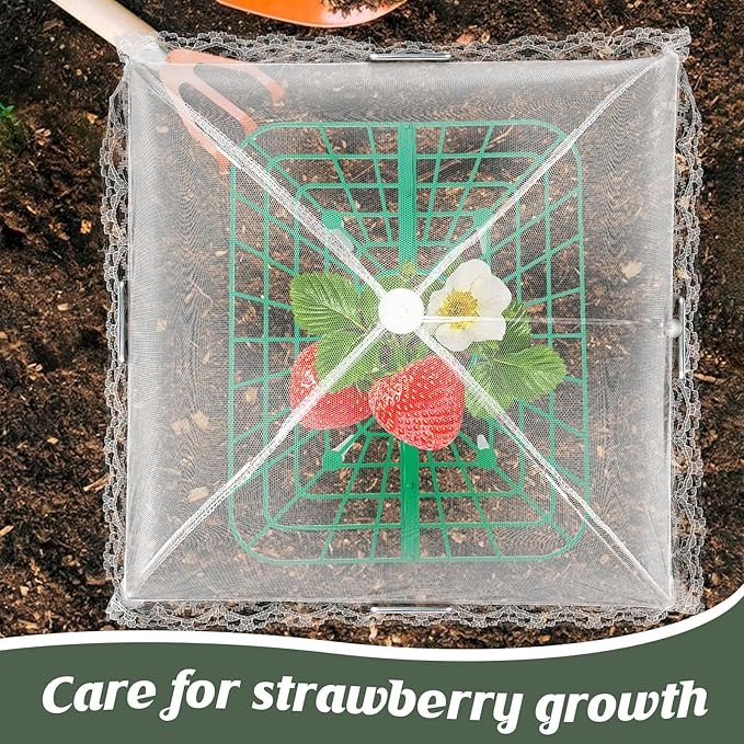 4 Sets Strawberry Plant Support with Mesh Plant Cover,Strawberry Growing Racks Sets with Iron Plant Nails and Storage Bag for Garden Strawberry Vegetables(White Net - Square)