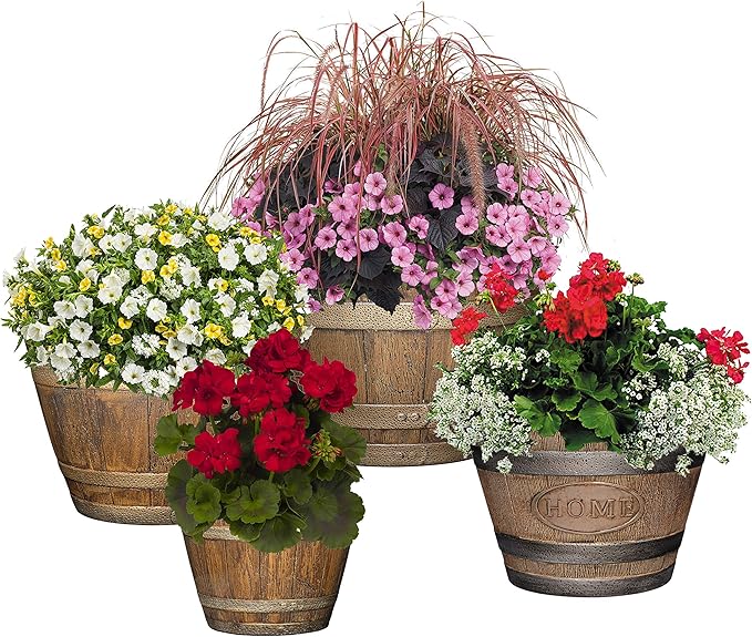 Classic Home and Garden S74CP5D-037R Whiskey Barrel Planter 5 Pack, 9", Kentucky Walnut