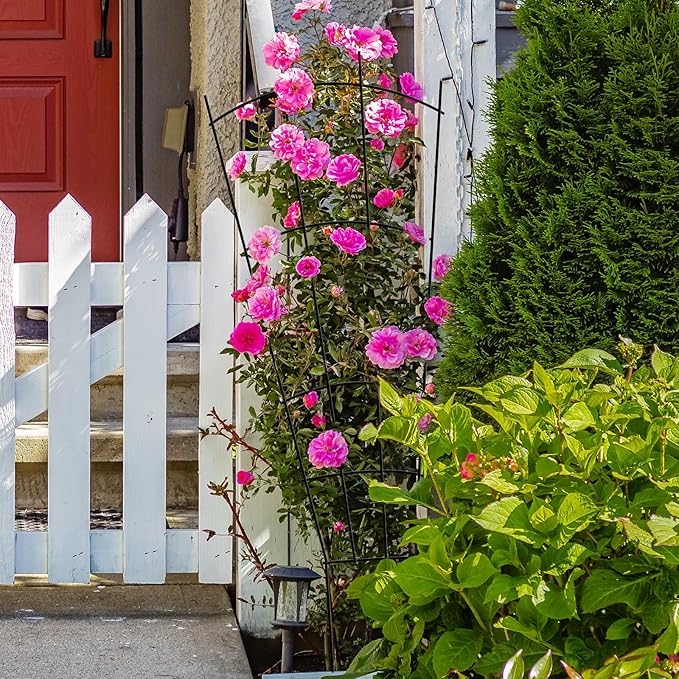 4 Pack 32'' Garden Trellis for Climbing Plants Outdoor Metal Trellis for Potted Plants Indoor Fan Shape Plant Support for Houseplant Flower Ivy Vine