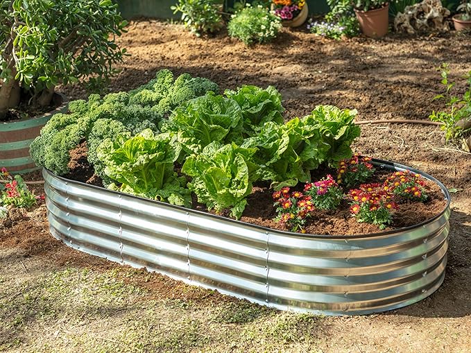 Plant & Plot Galvanized Raised Garden Beds Outdoor // 6×3×1 ft (2-Pack) Planter Raised Beds for Gardening, Vegetables, Flowers // Large Metal Garden Box // Patented Tool-Free Design (Silver)