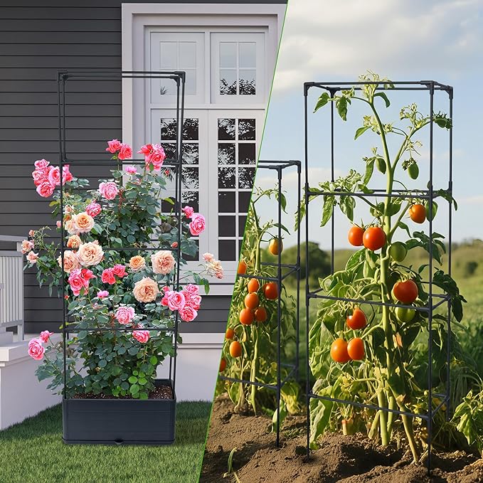 2 Packs Raised Garden Bed Tomato Planter Box with Trellis, 55.2" Self-Watering Tomato Cage with Rectangular Trellis for Climbing Plants Flowers Vegetables Vine in Patio Garden Indoor Outdoor