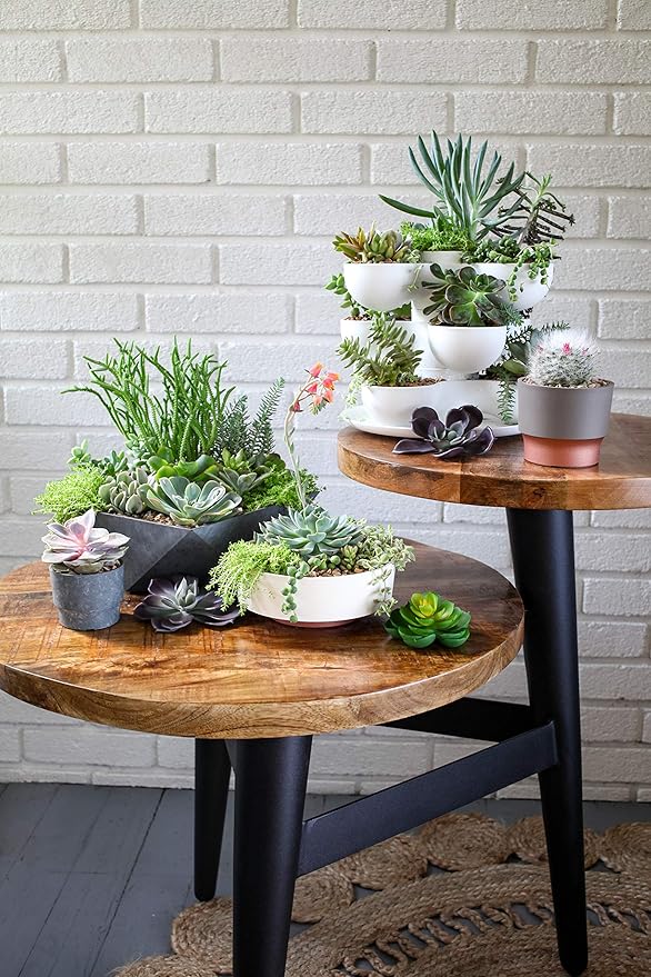The HC Companies 6 Inch Round Plastic Succulent Capri Bowl Decorative Indoor Flower Succulent Planter Pot with Drain Plug Hole, Artisan Taupe with Copper Bottom Color (2 Pack)