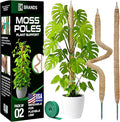 2 Pack 28'' Bendable Moss Pole Monstera Plant Support for Climbing Indoor Plants - Stakes for Potted Climbers - Tall Sticks Indoor Trellis for Houseplants - Accessories for Monstera Pot