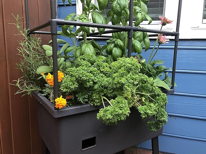 Frame It All Hydroponic Tower with Trellis Frame and Greenhouse Cover, Vertical Garden Planter for Vegetables and Flowers, Self-Watering Garden Tower with 4.35-Gallon Water Storage, 15.75 x 23.5 x 57