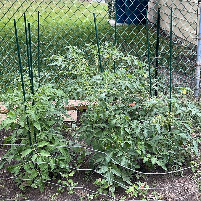 Garden Plant Stakes 48 Inch 4Ft Tomato Stakes, 20 Pack Steel Plant Stick Support for Growing Climbing Plants, Garden Fences Poles