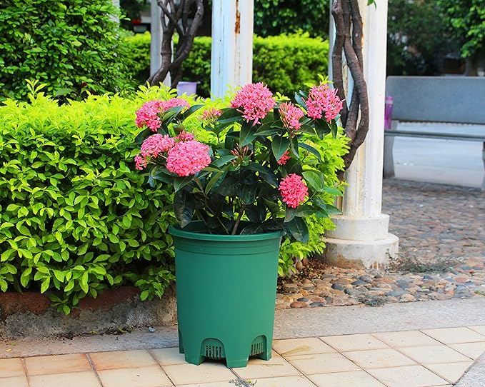 5 Gallon 20-Pack Green Nursery Pot Black Plastic Planters in Bulk with Drainage for Outdoor Indoor Large Plants Trees