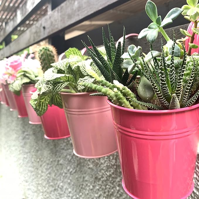 LaLaGreen Railing Planters Outdoor -10 Pack, 4 Inch Metal Hanging Flower Bucket, Small Pink Plant Pot Succulent Indoor Patio Fence Planter Box Balcony Garden Wall Decor Rail Deck Macetas Decorativas