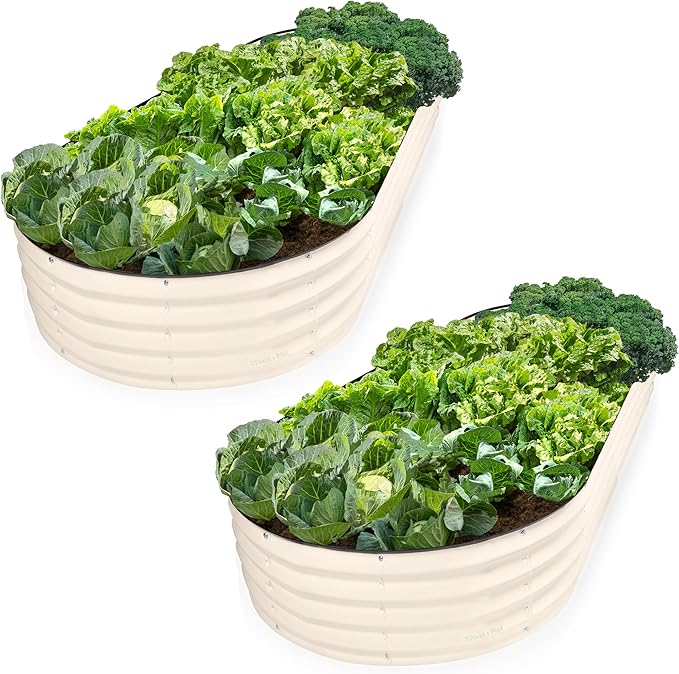 Plant & Plot Galvanized Raised Garden Beds Outdoor // 8×4×1 ft (2-Pack) Planter Raised Beds for Gardening, Vegetables, Flowers // Large Metal Garden Box // Patented Tool-Free Design (White)