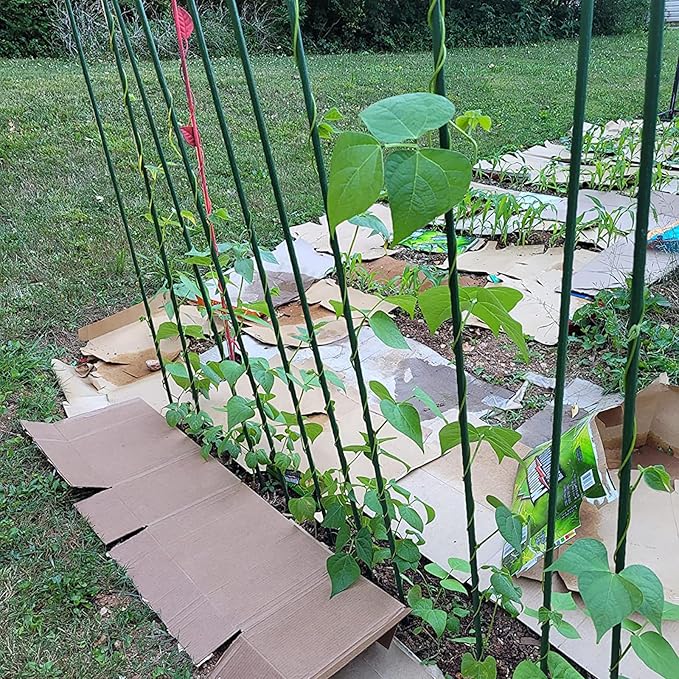 Garden Plant Stakes 57 Inch (Approx 5Ft) Tomato Stakes, 20 Pack Steel Plant Stick Support for Growing Climbing Plants, Garden Fences Poles