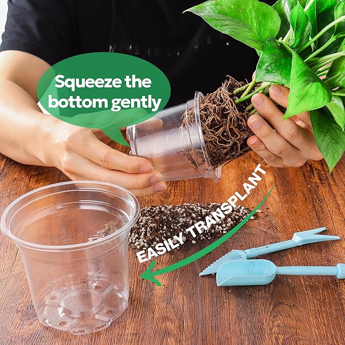 30 Packs 5 Inch Reinforced Clear Nursery Pots with Drainage Holes, Transparent Plastic Plant Pot Seedling Planter for Vegetable Propagation, Root Cutting, Seed Starting