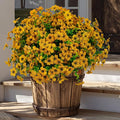 Artificial Fall Flowers for Outdoors Fake Mums - 16 Bundles Faux Plants Outside Greenery Boxwood No Fade Plastic Shrubs Decor Farmhouse Home Garden Thanksgiving (Yellow)