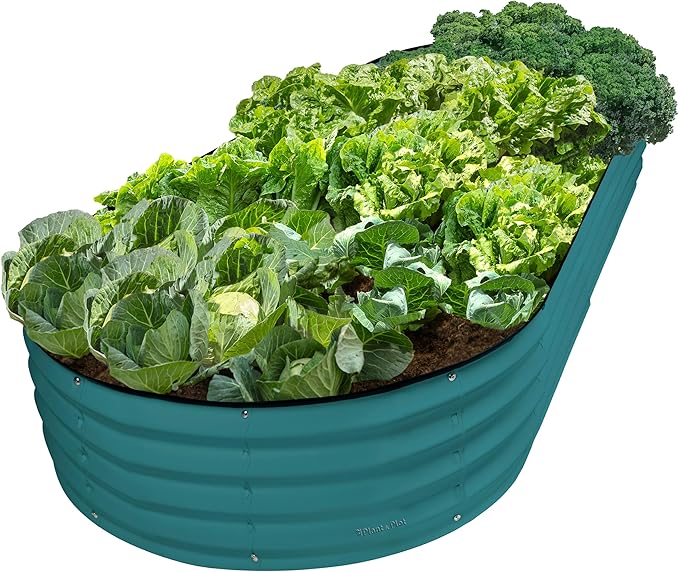 Plant & Plot Galvanized Raised Garden Beds Outdoor // 8×4×1 ft Planter Raised Beds for Gardening, Vegetables, Flowers // Large Metal Garden Box // Patented Tool-Free Design (Turquoise)