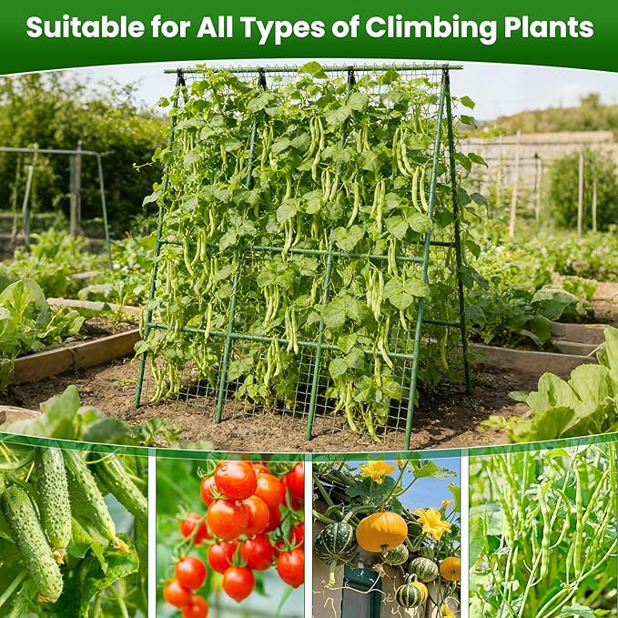 Cucumber Trellis for Raised Bed 48" L x 64" H, 16mm Heavy-Duty Metal A-Shape Arch Trellis, Outdoor Climbing Plant Support for Tomato Pea Zucchini Grape Flowers, Vertical Garden Vegetable Trellis