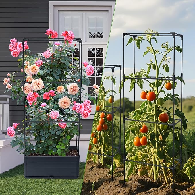 2 Packs Raised Garden Bed Tomato Planter Box with Trellis, 43.4" Self-Watering Tomato Cage with Rectangular Trellis for Climbing Plants, Flowers, Vegetables, Vine in Patio Garden Indoor Outdoor