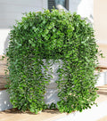 Faux Outdoor Plants Fake Hanging Plants for Outdoors Outside Decorations, 2 Pcs Green Faux Eucalyptus Vines Realistic UV Resistant Artificial Greenery for Planters Porch Garden Yard Front Door Patio