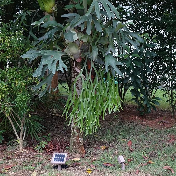 HEX 50X Single Solar Spotlight Warm White LED Waterproof Dimmable Dusk to Dawn for Outdoor Garden Yard Landscape Pathway Downlight Uplight