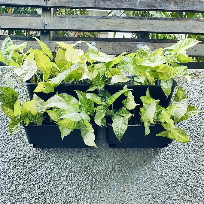 Maxona Black Color Vertical Garden Planter - 2 Pack, 13 inch Wall Mounted Planter for Patio Outdoor Decor, Home Plastic Pot Balcony Plant Vegetable Fruit Herb Hanging Pocket Holder Flowerpot