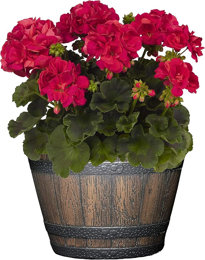 Classic Home and Garden S74CP5D-037R Whiskey Barrel Planter 5 Pack, 9", Kentucky Walnut