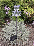 Solar Garden Stake Lights with Color Changing LED or Regular White LED Landscape Path Lights (Set of 2) (cat)