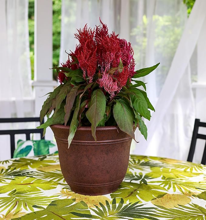 The HC Companies Sierra Round Self-Watering Pot - Lightweight Plastic Planter for Herbs & More - Durable Plant Pots for Indoor Plants & Outdoor Plants (10” Rustic Redstone, Pack of 1)