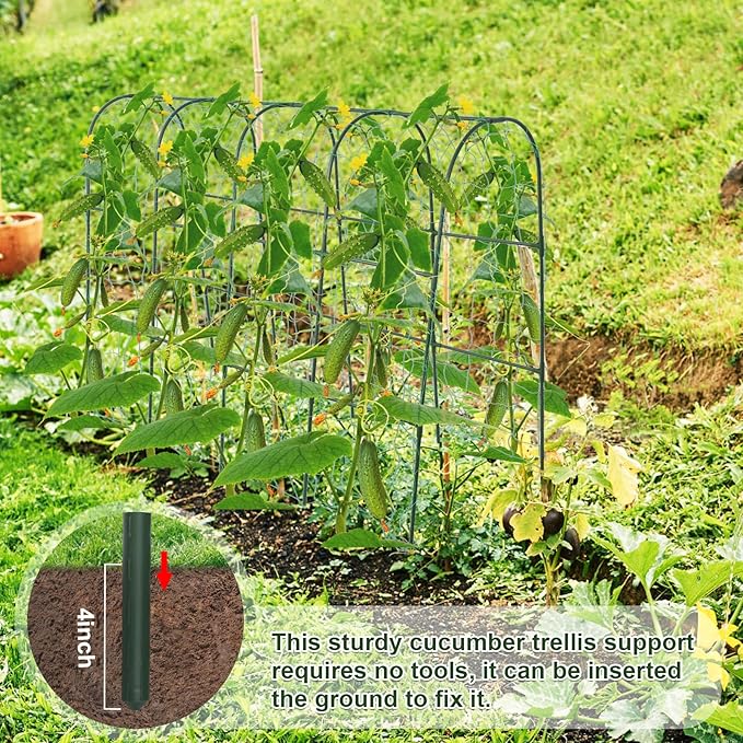 iGreely Cucumber Trellis for Raised Bed, U-Shape Garden Arch Metal Support for Climbing Plants, Metal Arch Vegetables Trellis, Plant Support for Vine (Green, 69.3" L×30" W×47.2" H)