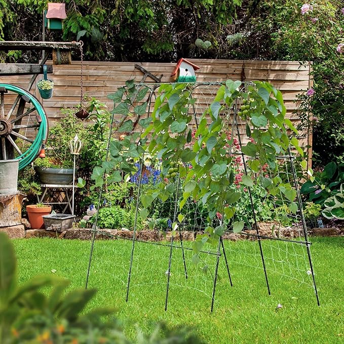 Lalahoni Cucumber Trellis, 65" X 65" Metal Garden Arch Trellis Climbing Plant Outdoor Support for Vine Fruits Flowers Vegetables Peas Beans Squash Cucumber Tomato Raised Bed, with Netting, Lightweight