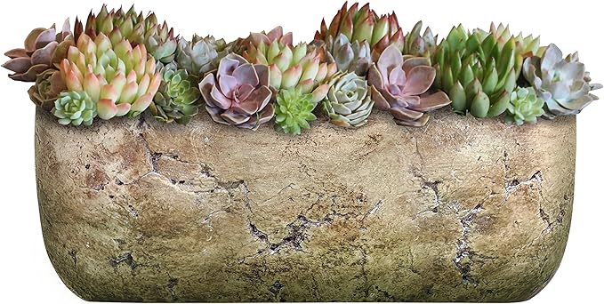 Classic Home and Garden Dakota Rectangular Planter Box w/Drain Plug - Small Succulent Pots for Window Sills & More - Shallow Trough Planter for Indoor Outdoor Use (8” Earth Moss Gray)