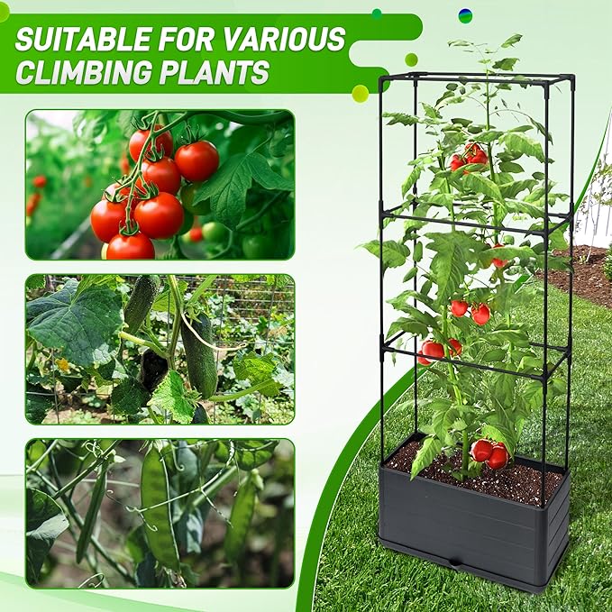2 Packs Raised Garden Bed Tomato Planter Box with Trellis, 43.4" Self-Watering Tomato Cage with Rectangular Trellis for Climbing Plants, Flowers, Vegetables, Vine in Patio Garden Indoor Outdoor