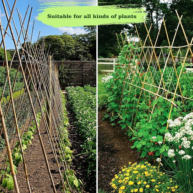 15pcs 3/4" D Thicker Heavy Duty Bamboo Stakes, 7FT Plant Stakes, Natural Garden Stakes for Tomato, Bean, Flowers,Trees Potted and Climbing Plant Support