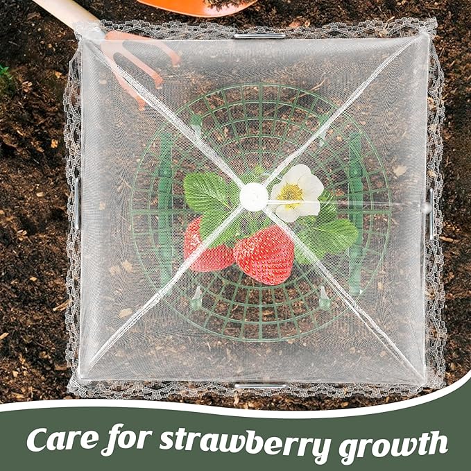 4 Sets Strawberry Plant Support with Mesh Plant Cover,Strawberry Growing Racks Sets with Iron Plant Nails and Storage Bag for Garden Strawberry Vegetables(White Net - Round)