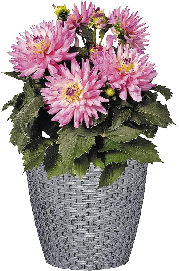 Classic Home and Garden Nantucket Planter, 8" Harbor Gray