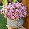 Artificial Flowers for Outdoors Fake Plants - 16 Bundles Faux Outside Greenery Boxwood No Fade Plastic Shrubs Fall Decor Farmhouse Home Garden Thanksgiving Mums (Pink)