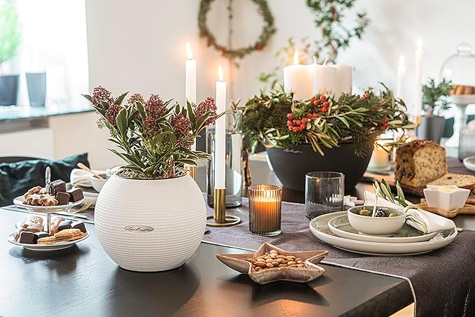 Lechuza Puro Color 20 White, Self-Watering Small Indoor Planter, D7.9 H6.3 in