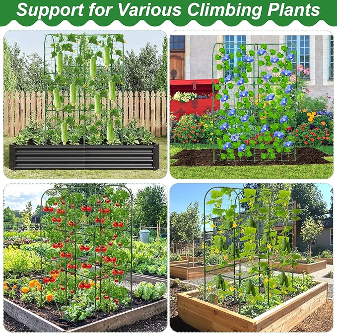 Cucumber Trellis for Raised Bed 50 x 34 Inch U-Shape Garden Trellis for Climbing Plants Outdoors Metal Garden Cucumbers Arch Trellis, Cucumber Plant Support for Tomato, Pea, Zucchini, Vine Flower