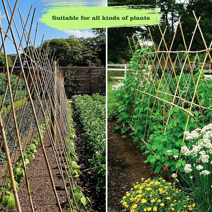 25pcs 1/2" D Thicker Heavy Duty Bamboo Stakes, 4.75FT Plant Stakes, Natural Garden Stakes for Tomato, Bean, Flowers,Trees Potted and Climbing Plant Support