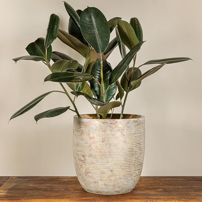 Creative Co-Op Embossed Textured Stoneware Planter, Metallic Gold