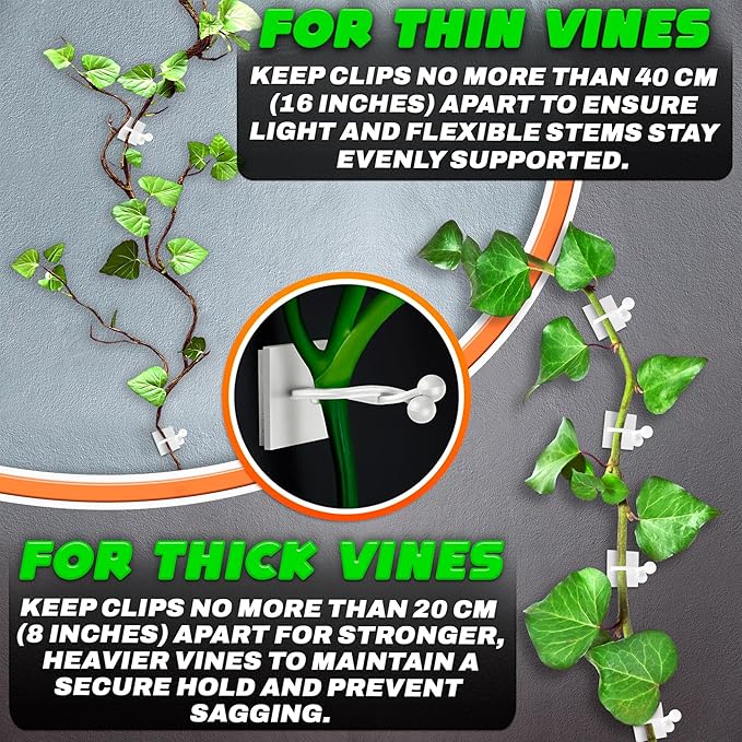 100Pcs Clear Plant Clips for Climbing Plants Indoor - White & Flexible Climbing Plant Wall Clips for Vines - Universal Size Vine Clip Set with Self-Adhesive Mount, Easy Installation and Strong Grip