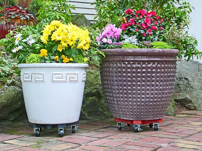 Bosmere 16" Plant Caddie - Heavy-Duty Rolling Plant Stand with Locking Wheels, 500 lb Capacity – Durable Plant Caddy for Indoor/Outdoor Use, Charcoal