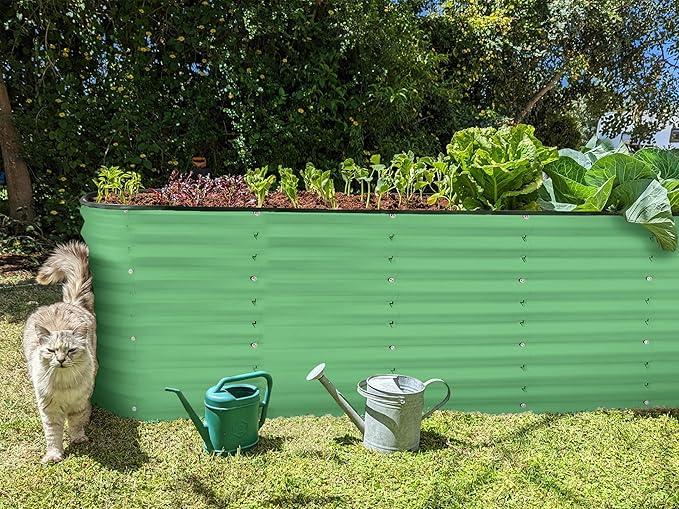 Plant & Plot Galvanized Raised Garden Beds Outdoor // 6×2×2 ft Planter Raised Beds for Gardening, Vegetables, Flowers // Large Metal Garden Box (Light Green) // Patented Tool-Free Design