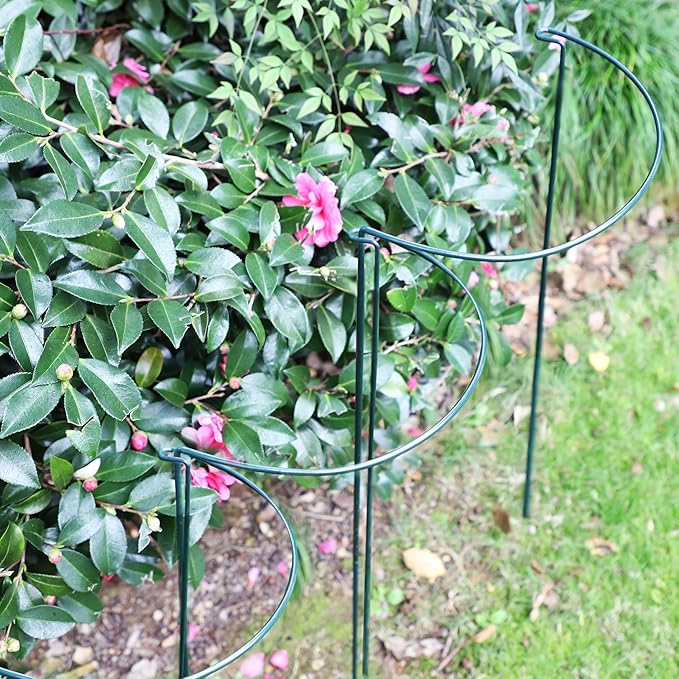 TCBWFY 10 Pack Plant Support Stakes for Peony,10"Widex24"High Heavy Duty 4.5mm Peony Cages and Support,Metal Peony Supports for Outdoor Indoor Plants,Plant Supports for Peony