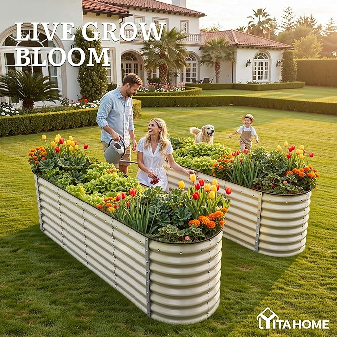 YITAHOME 24" Tall 9 in 1 Large Raised Garden Bed Kit, 8x2x2ft Galvanized Metal Planter Box with Gloves and Safety Rubber, Outdoor Above Ground Planters for Plants Vegetables Flowers, Cream Yellow