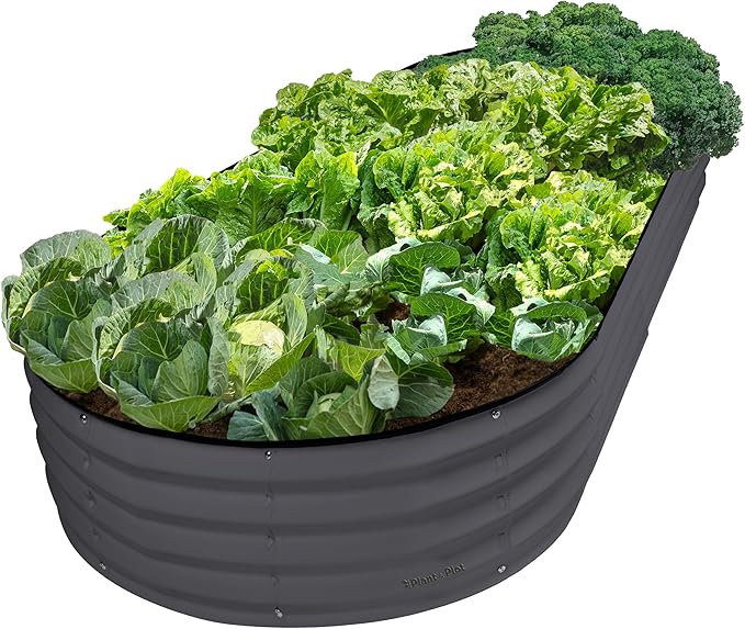 Plant & Plot Galvanized Raised Garden Beds Outdoor // 8×4×1 ft Planter Raised Beds for Gardening, Vegetables, Flowers // Large Metal Garden Box // Patented Tool-Free Design (Gray)